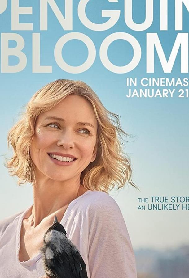 Фильм Пингвин Блум (2020) смотреть онлайн в HD качестве